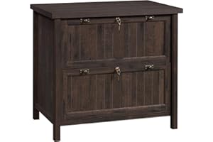 Sauder Costa Lateral File Cabinet, 2-Drawer, Coffee Oak, Locking, Rustic Cottage Style