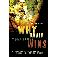 Why David Sometimes Wins: Leadership, Organization, and Strategy in the California Farm Worker Movement book cover