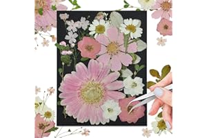 CONVELIFE Pink Dried Pressed Flowers, Real Nature Flowers with Tweezers, Pressed Flowers for Resin DIY Jewelry Candle Soap Vase Making Nail Card Scrapbook Art Craft Floral Decors