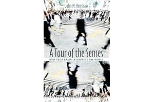 A Tour of the Senses: How Your Brain Interprets the World
