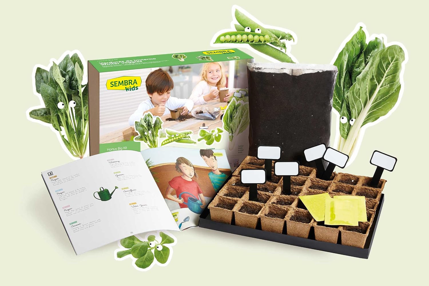 SEMBRA - juego educativo, Kit huerto Guisante: Amazon.es: Jardín