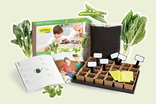 SEMBRA - juego educativo, Kit huerto Guisante: Amazon.es: Jardín