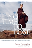 No Time to Lose: A Timely Guide to the Way of the Bodhisattva