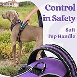 rabbitgoo Dog Harness Medium Adjustable No Pull Reflective Purple M view 6