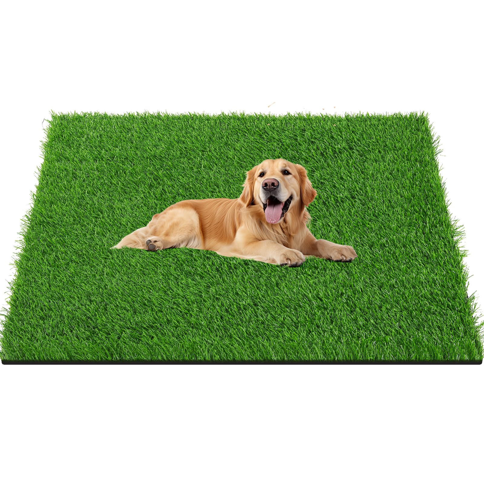 Mua LOOBANI 59in x 39.5in Grass Pad for Dogs Potty Training Excellent