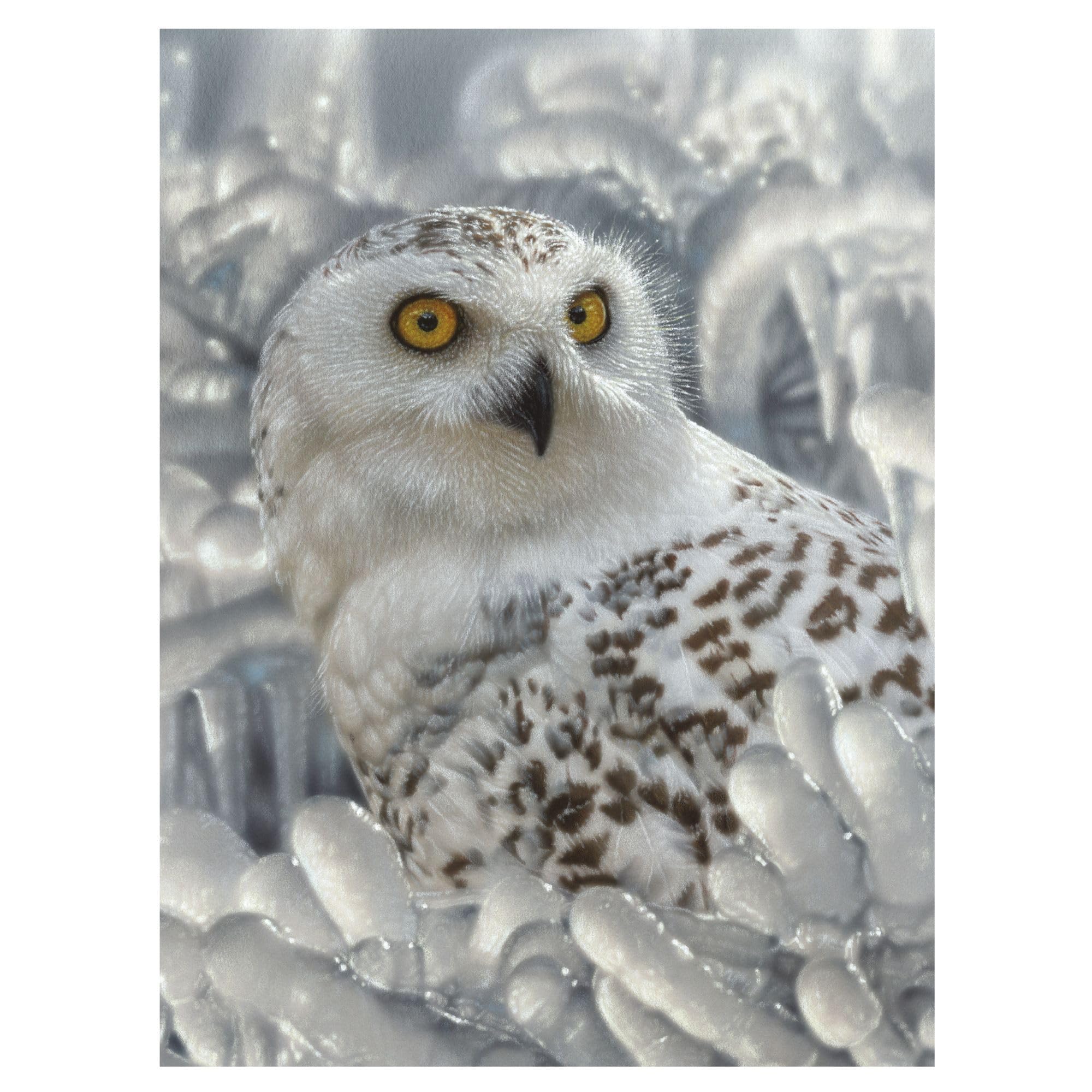 3D LiveLife Lenticular Wall Art Prints - Snowy Owl Sanctuary from Deluxebase. Unframed 3D Owl Poster. A perfect wall filler. Original artwork licensed from renowned artist, Collin Bogle