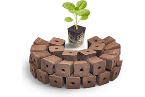 SIETAMIS 50 Pack Grow Sponges Square Sponge Replacement Part Seedling Starter Sponges for Hydroponic Indoor Garden System Cut
