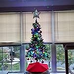 Review Image by Sally Steele