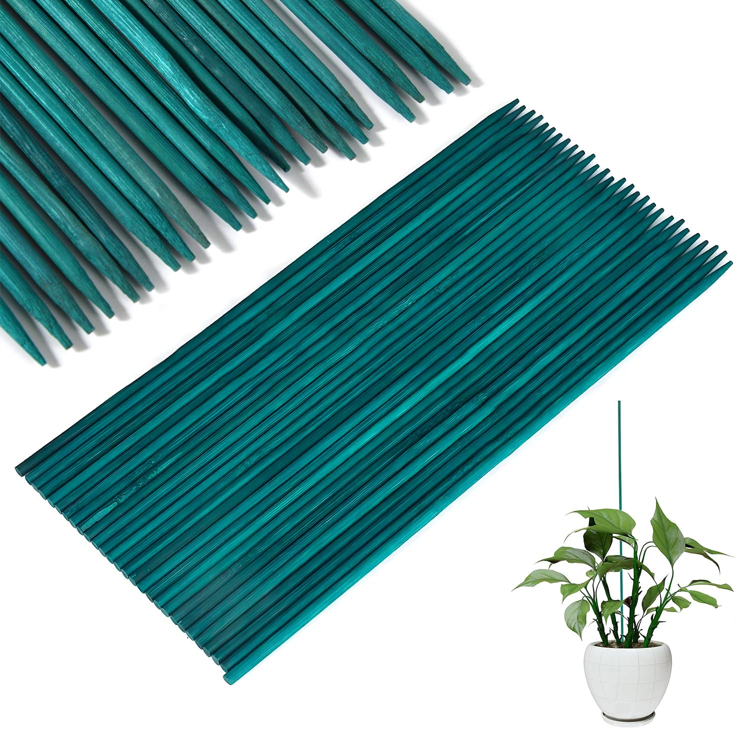 Green Plant Sticks Support Canes | 50pc Plant Support Sticks 30cm Long | Garden Stakes for Orchid Pea Vegetables Support | Bamboo Plant Support Ideal for Straightening and Securing Plant Stems
