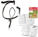Beaphar Gentle Leader Head Collar for Small Dogs - Anti-Pull Training Aid - view 2