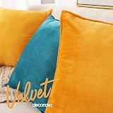 Deconovo Set of 2 Cushion Covers 50x50 Velour Soft Breathable Velvet view 2