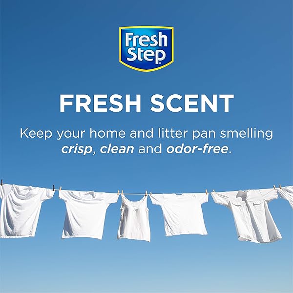 FRESH STEP CAT LITTER CRYSTALS DEODORIZER, NON TOXIC ODOR NEUTRALIZING CRYSTALS FOR LITTER BOXES THAT HELP CONTROL SMELLS AND KEEP HOME AREAS FRESH, FRESH SCENT, 15 OUNCE