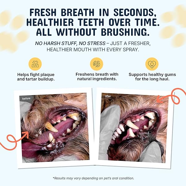PETS ARE KIDS DOG DENTAL SPRAY – 8OZ PREMIUM DOG BREATH SPRAY & DENTAL CARE – NATURAL BREATH FRESHENER, FIGHTS TARTAR, PLAQUE & GUM DISEASE, MOUTHWASH FOR DOGS & CATS – MINT FORMULA WATER ADDITIVE