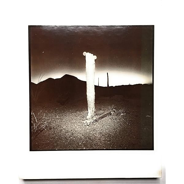 Amazon.com: Richard Misrach: Chronologies: 9781933045283: Misrach