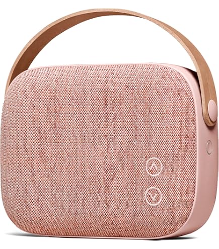 Amazon.com: Vifa Helsinki Portable Mini Speaker with Handbag Look