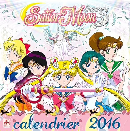 Download Sailor Moon - Calendrier 2016 PDF