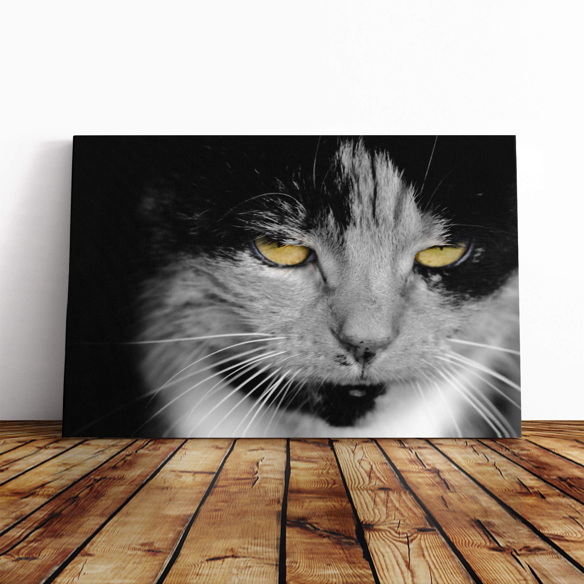 Cat Eyes (12) Canvas Print | Gallery Wrapped 30mm Frame Wall Art | 20x14 inches | Ready to Hang | Modern Animals Picture | Living Room Bedroom Lounge Office