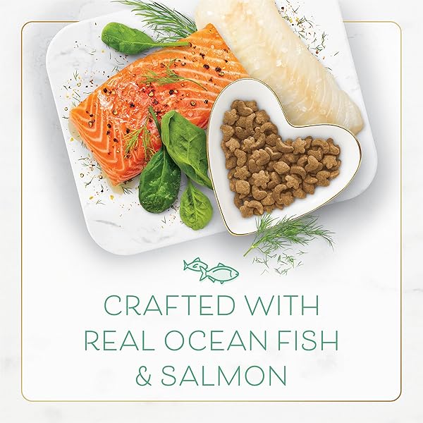 PURINA FANCY FEAST DRY CAT FOOD WITH OCEAN FISH AND SALMON – 3 LB. BAG