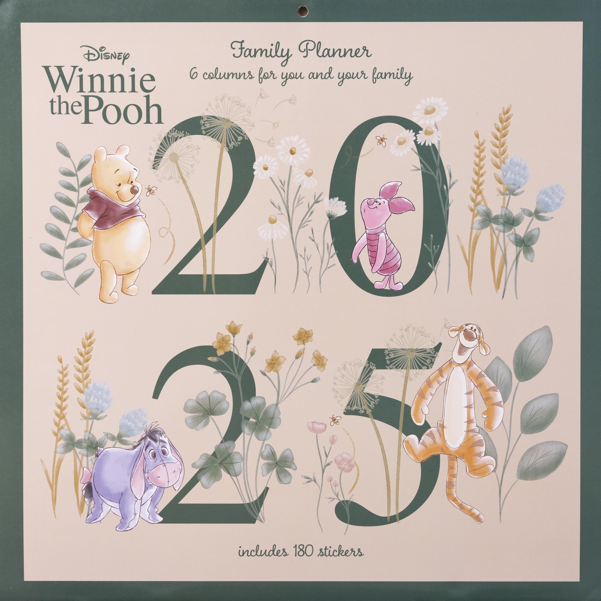 Pyramid International Winnie the Pooh 2025 Family Calendar – 16-Month 30x30 cm, Disney Art, Monthly Grid, Collector's Edition for ... THE POOH 2025 30X30 FAMILY PLANNER CALENDAR)