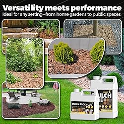 Concentrate Stone Adhesive, Makes 166oz Strong