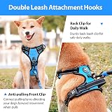 PoyPet No Pull Dog Harness with Neck Release Buckle Reflective Blue Large view 3