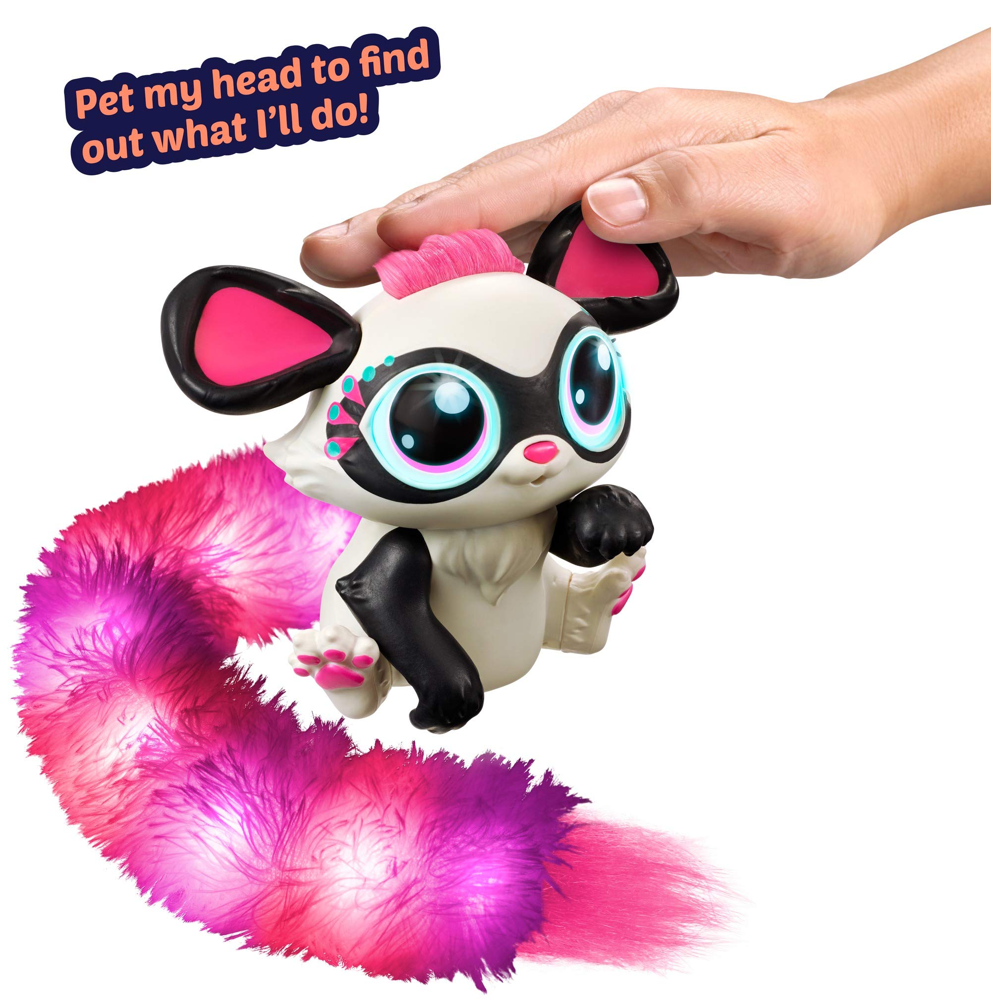 chipette robot dog