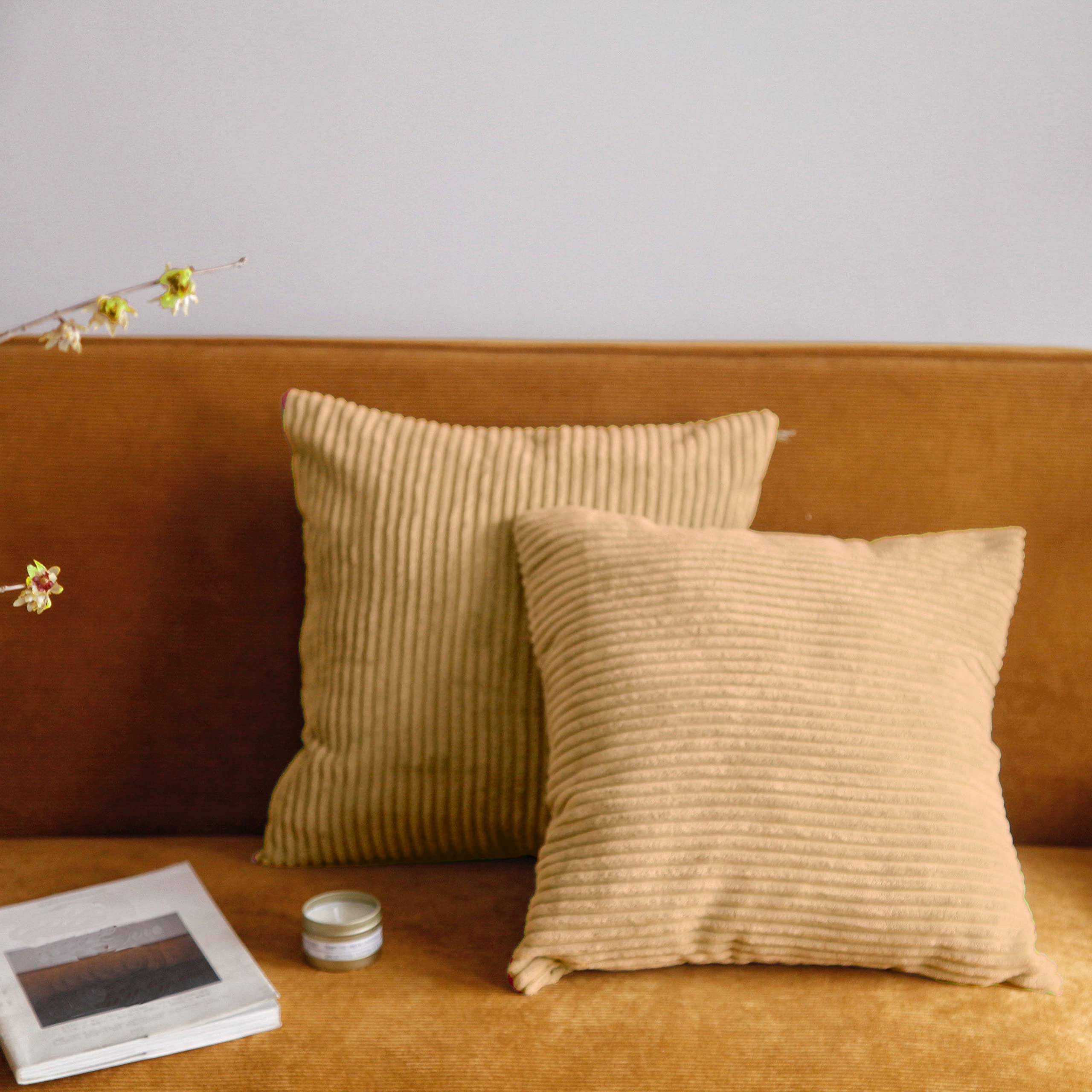 Pagnanno. Set of 2 Soft Velvet Cushion Covers 45x45cm(18x18 Inches) Corduroy Throw Pillowcases Cushion Covers for Chairs,living room,bedroom with Invisible Zipper (18"x18" (Pack of 2), Beige)