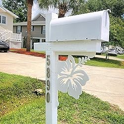 HASWARE 4 Inch Self Adhesive House Number, Modern
