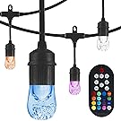 Enbrighten Seasons LED Warm White and Color Changing Café String Lights (24ft.), Wireless, 12 Lifetime Bulbs, Premium, Weatherproof, Indoor/Outdoor, Shatterproof, Commercial Grade, 36134
