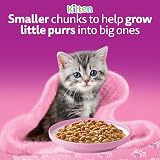 Whiskas Junior Wet Cat Food in Jelly Fish Favourites 12x85g Kitten Pack of 4 view 8