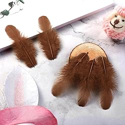 Soarer 300pcs Brown Feathers for Crafts - 3-5inch