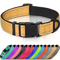 Joytale Reflective Dog Collar,Soft Neoprene Padded