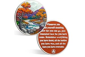 CHURYUML Sobriety Coin Gift Set with Capsule, Display & Card| Autumn Landscape Sobriety Chip Non-Religious AA Coins Recovery Medallions Sober Token Sobriety Gifts for Men and Women Celebrating Sober
