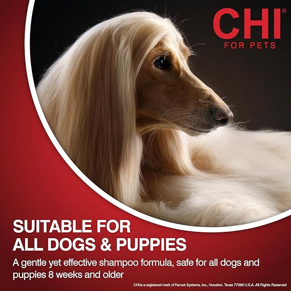 CHI FOR DOGS DETANGLING FINISHING SPRAY – BEST LEAVE-IN SOLUTION FOR TANGLES AND KNOTS – DOG GROOMING MIST FOR PUPPIES AND ADULTS – SULFATE AND PARABEN FREE – MADE IN USA, 10 FL OZ