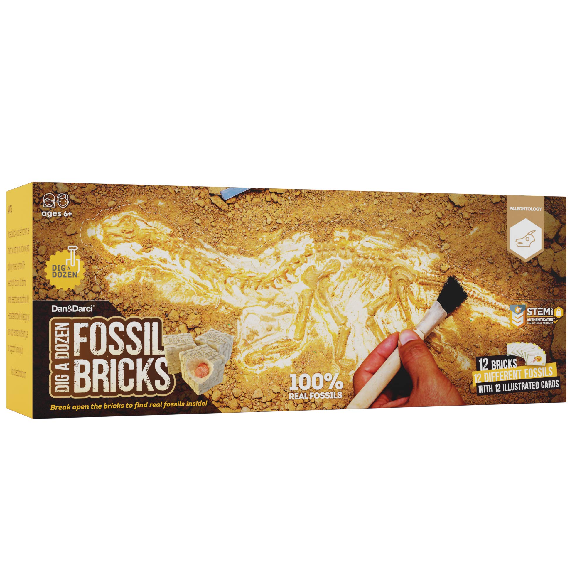 Dan&Darci Dig a Dozen Fossil Bricks - Break Open 12 Blocks and Discover 12 Unique Real Fossils - Basket Stuffers Archaeology Science STEM - Birthday Gift