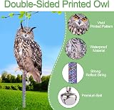 Lifreer Fake Owl Decoy 5Pcs Reflective Bird Deterrent Outdoor Hanging Device view 4