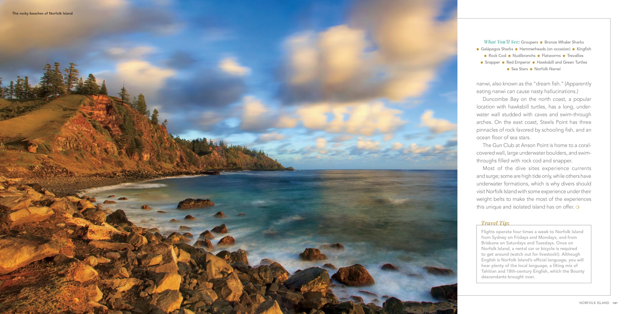100 Dives of a Lifetime: The World's Ultimate Underwater Destinations (100 of a Lifetime)