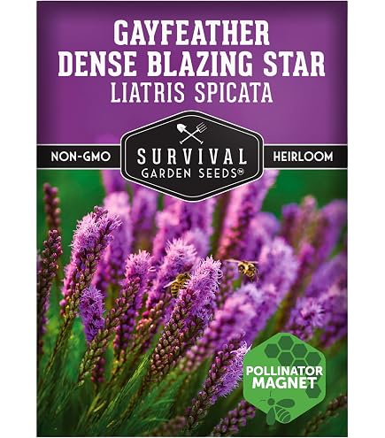 thumbnail image 2 of Purpletop Vervain Flower Seeds – Verbena Bonariensis – Native Wildflower Herb Tea – Drought Resistant Perennial – 94% Germination 2 of 5