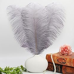 THARAHT Gray Ostrich Feathers 12pcs Large Natural