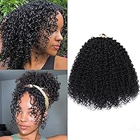 Amazon.com : LADY MIRANDA Pure Color Afro kinky Curly Braiding
