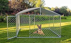 amazon outside dog kennels