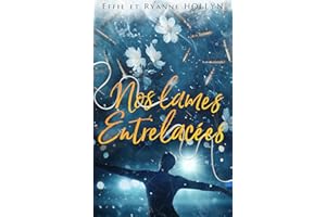 Nos Lames Entrelacées: Romance M/M (Destroyed) (French Edition)