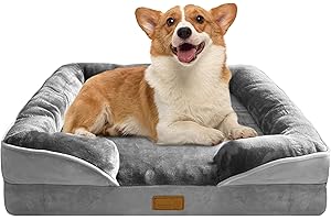 Spotted Play Orthopedic Dog Bed with Sides - Dog Sofa Beds for Medium Dogs, Supportive Foam Pet Couch Bed with Washable Removable Cover, Waterproof Lining and Non-Slip Bottom, Grey - M