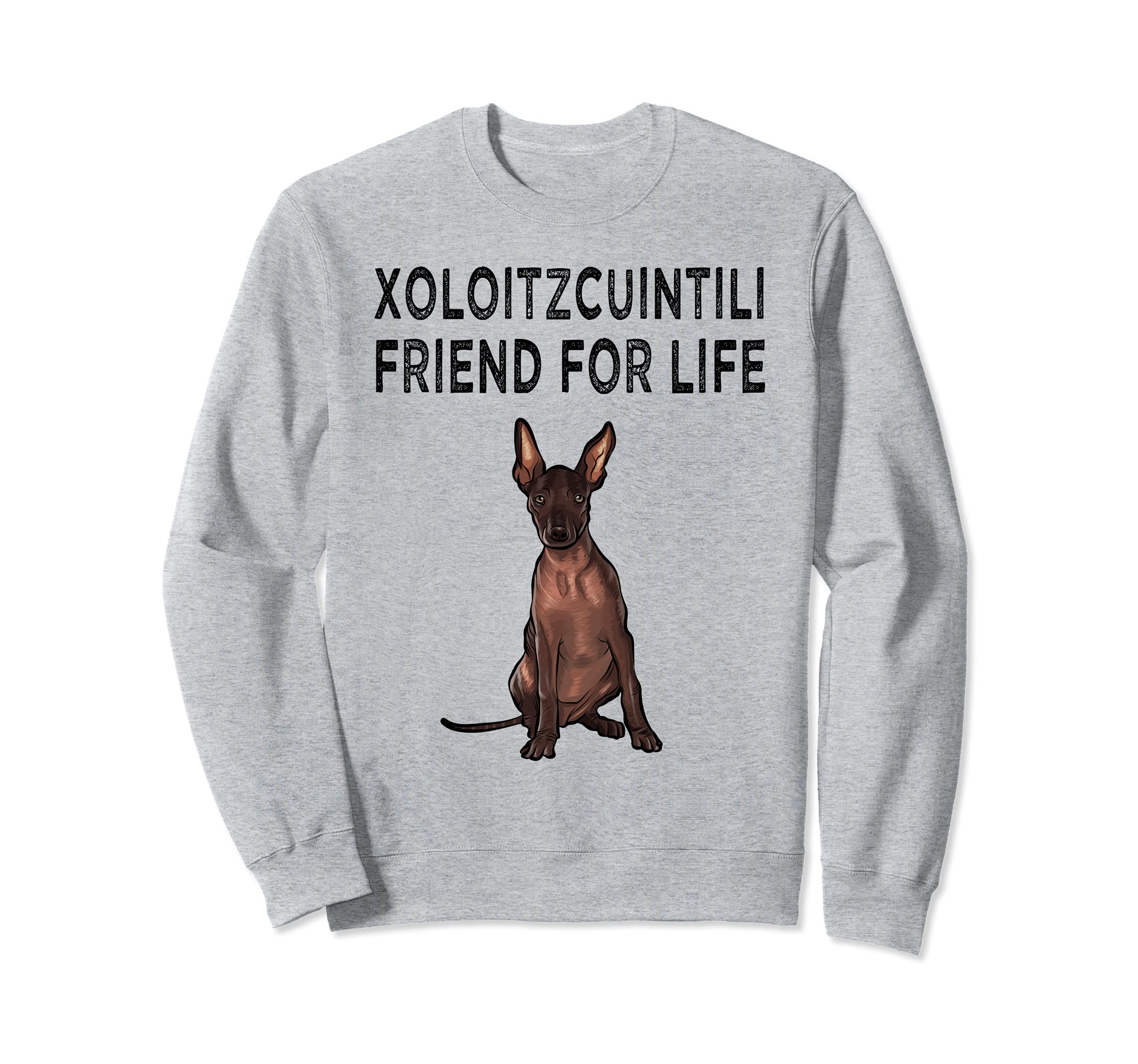 Xoloitzcuintli Friend For Life Dog Friendship Sweatshirt