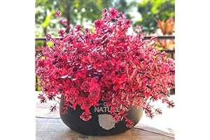 GRUNYIA Artificial Mums Flowers Outdoor Plastic Plants - 12 Bundles Outside Face Fake Fall Flowers Greenery UV Resistant No Fade Faux Shrubs Home Garden Porch Patio Office Thanksgiving