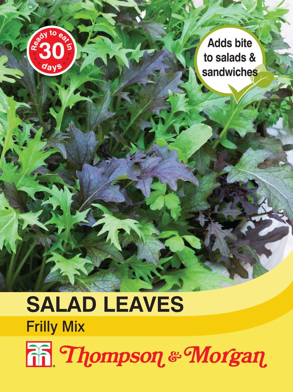 Thompson & Morgan - Vegetables - Salad Leaves - Frilly Mix - 500 Seed