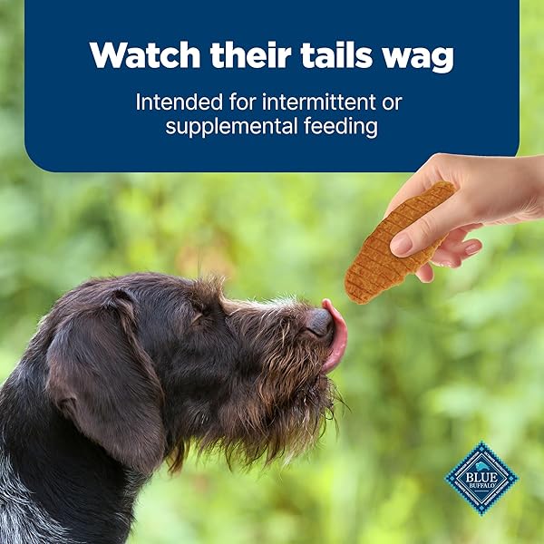 BLUE BUFFALO NUDGES JERKY CUTS NATURAL DOG TREATS CHICKEN