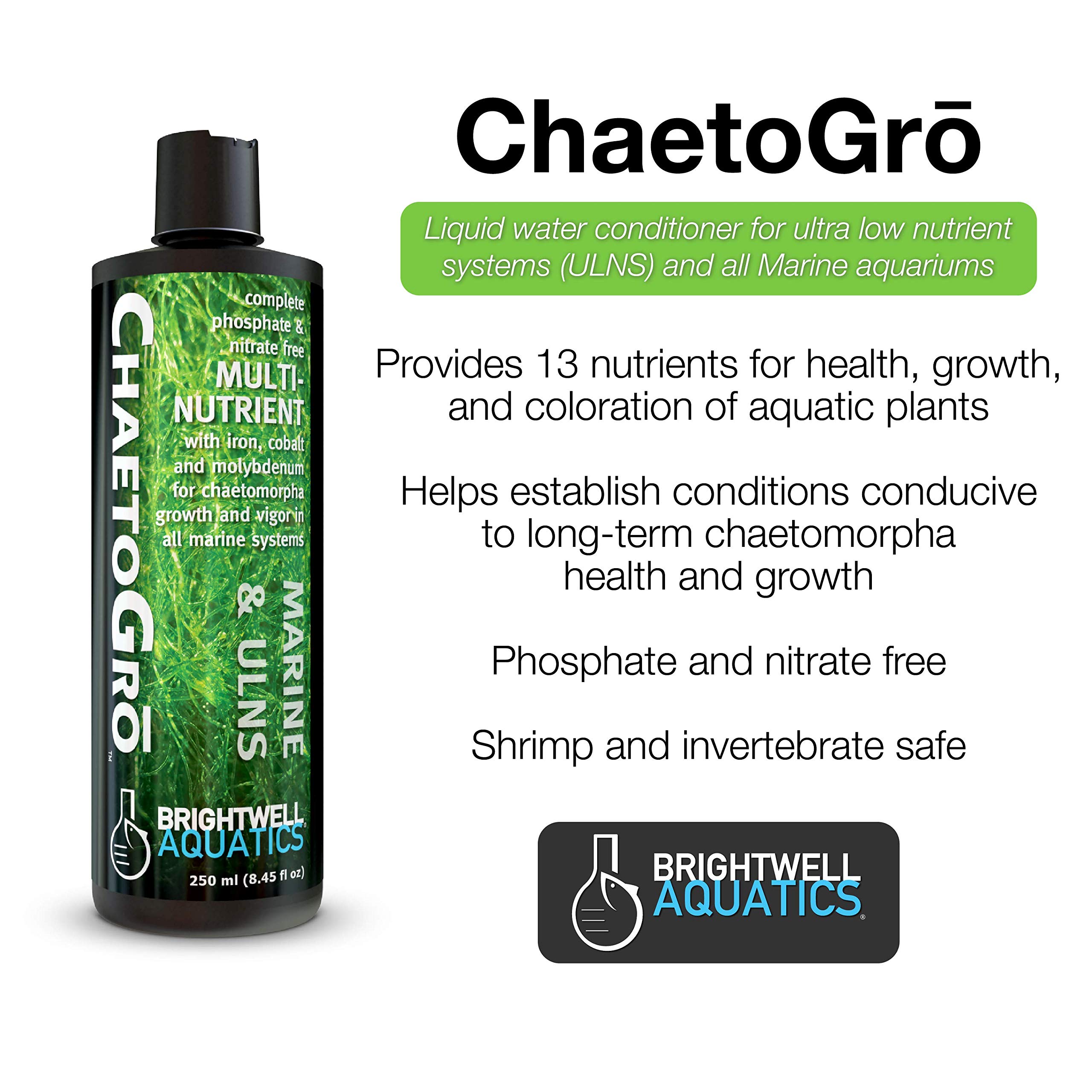 View of Mua Brightwell Aquatics - ChaetoGro - Algae Nutrient Supplement for ...