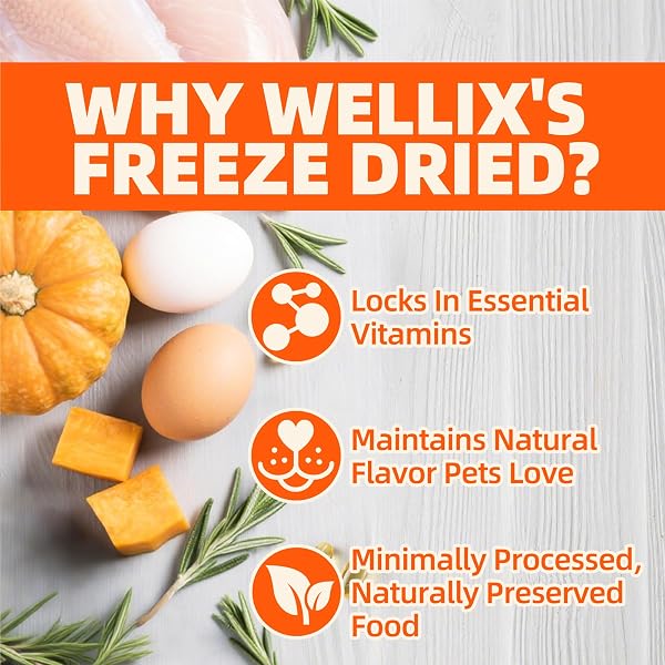 WELLIX CHICKEN & PUMPKIN RAW TREAT – FREEZE DRIED CHICKEN SNACKS, PET FOOD TOPPER, GRAIN FREE, CRUNCHY CAT TREATS FOR INDOOR CATS – FOR SMALL, MEDIUM & LARGE CATS & DOGS – 4.59 OZ