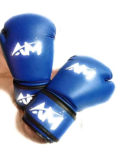 buy boxing gloves online